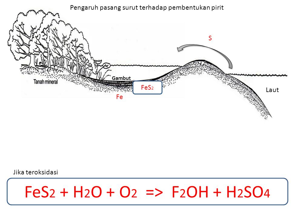 FeS2 + H2O + O2 => F2OH + H2SO4