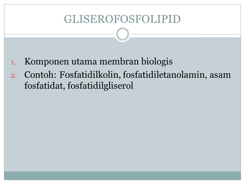 GLISEROFOSFOLIPID Komponen utama membran biologis