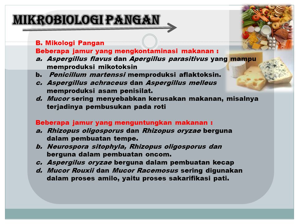 MIKROBIOLOGI PANGAN B. Mikologi Pangan