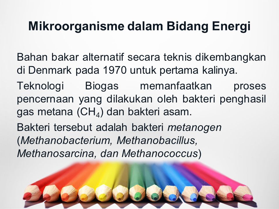 Mikroorganisme dalam Bidang Energi