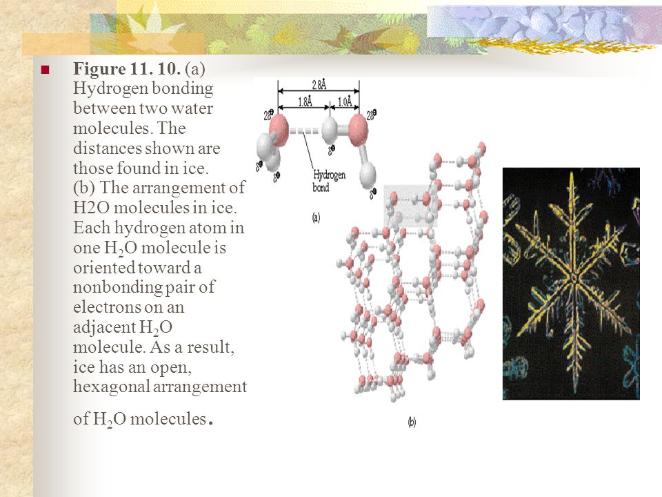 Figure (a) Hydrogen bonding between two water molecules