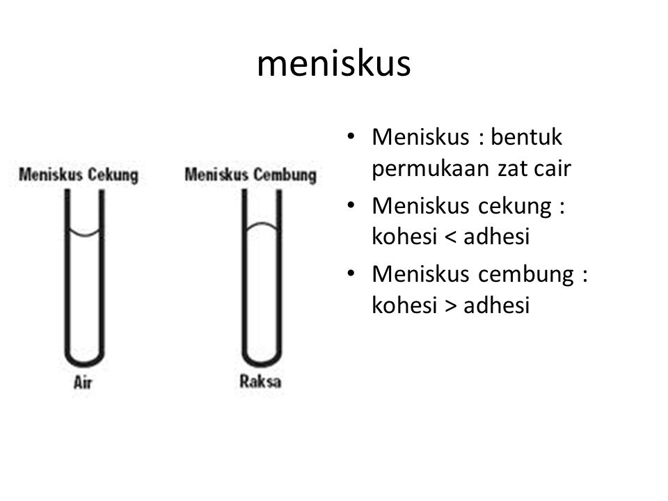 meniskus Meniskus : bentuk permukaan zat cair