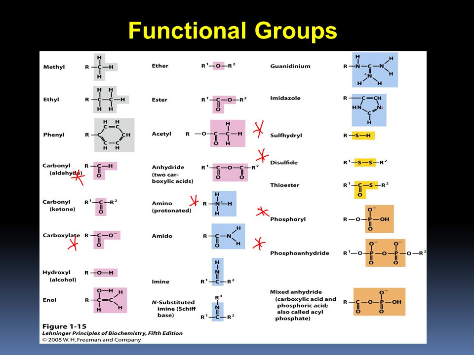 Функциональная группа сон входит в состав. Функциональная группа на схеме. Сложноэфирная функциональная группа. Functional Groups. Функциональная группа аналоговая бесконтактная.