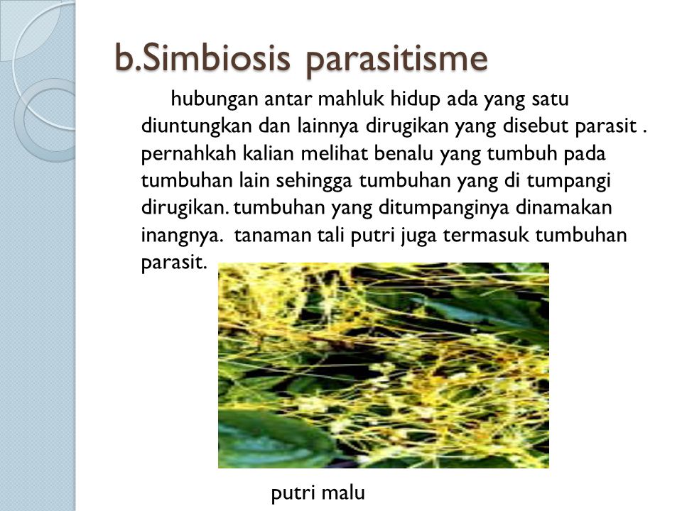 b.Simbiosis parasitisme
