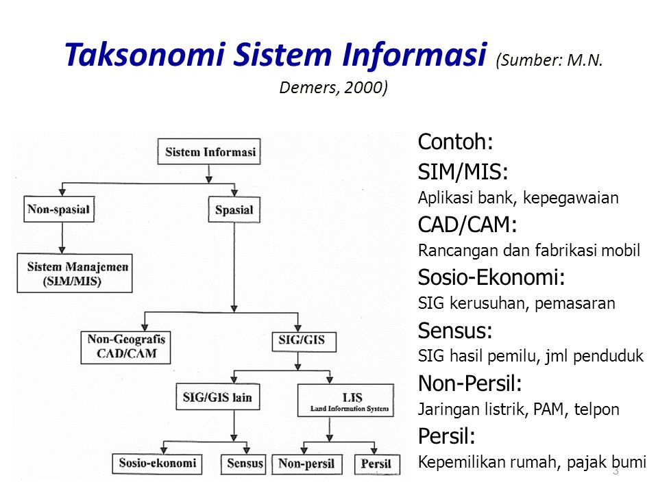 Taksonomi Sistem Informasi (Sumber: M.N. Demers, 2000)