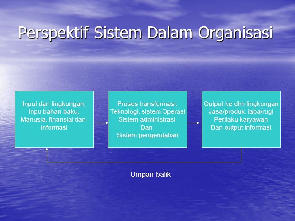 Perspektif Sistem Dalam Organisasi