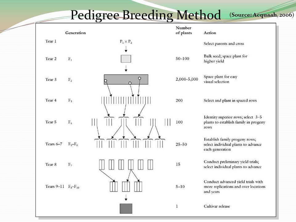 Pedigree Breeding Method