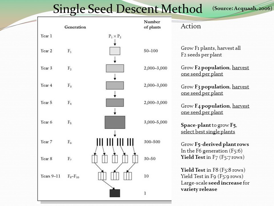 Single Seed Descent Method