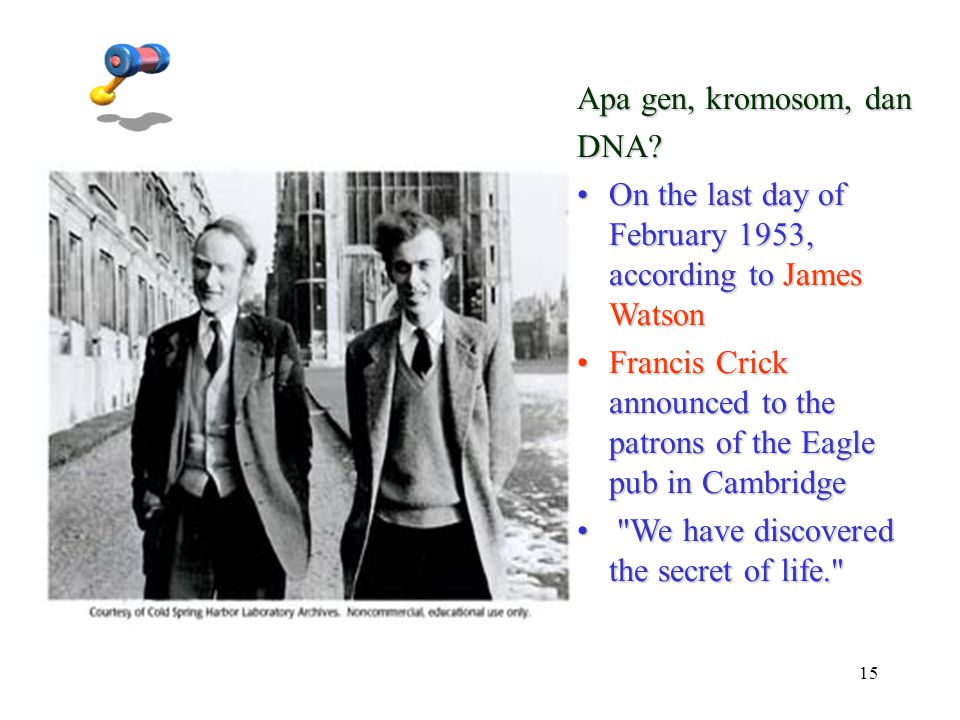 Apa gen, kromosom, dan DNA On the last day of February 1953, according to James Watson.