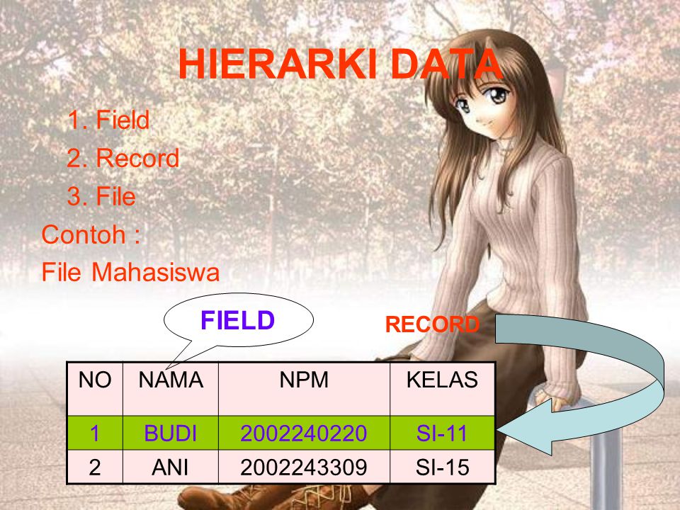 HIERARKI DATA 1. Field 2. Record 3. File Contoh : File Mahasiswa FIELD
