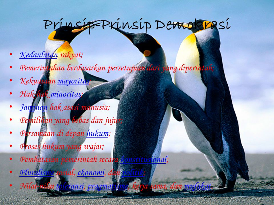 Prinsip-Prinsip Demokrasi