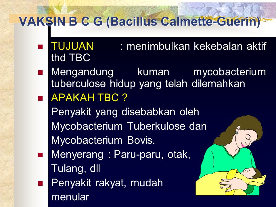 VAKSIN B C G (Bacillus Calmette-Guerin)