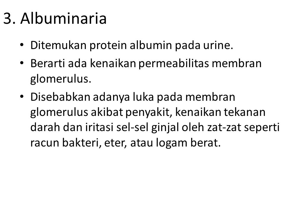 3. Albuminaria Ditemukan protein albumin pada urine.
