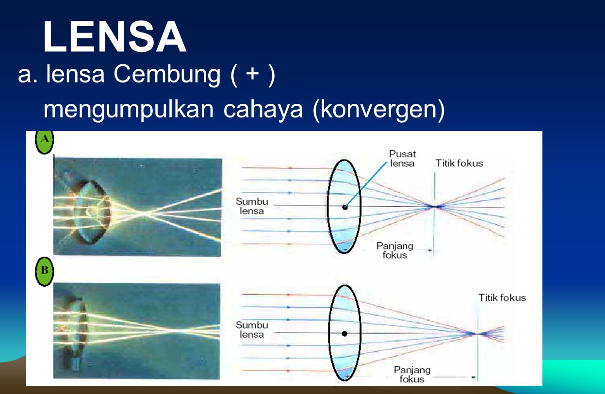 LENSA a. lensa Cembung ( + ) mengumpulkan cahaya (konvergen)
