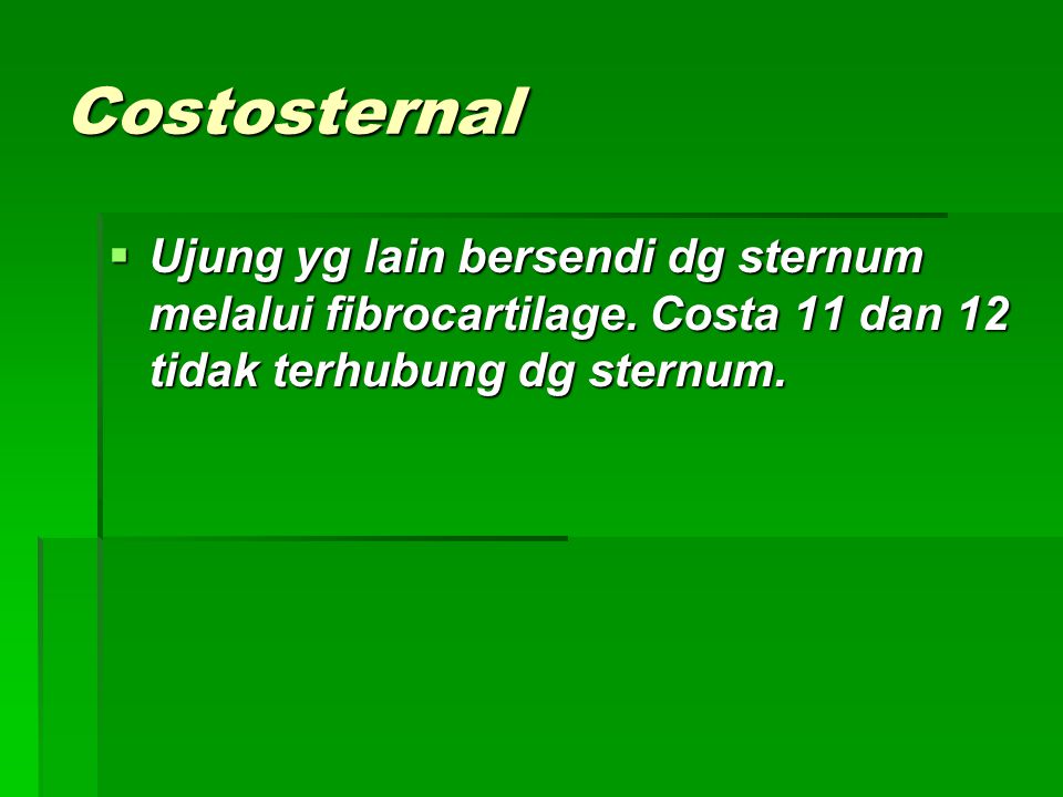 Costosternal Ujung yg lain bersendi dg sternum melalui fibrocartilage.