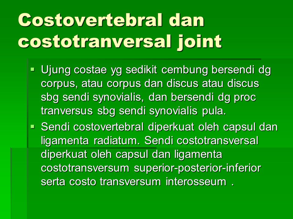 Costovertebral dan costotranversal joint