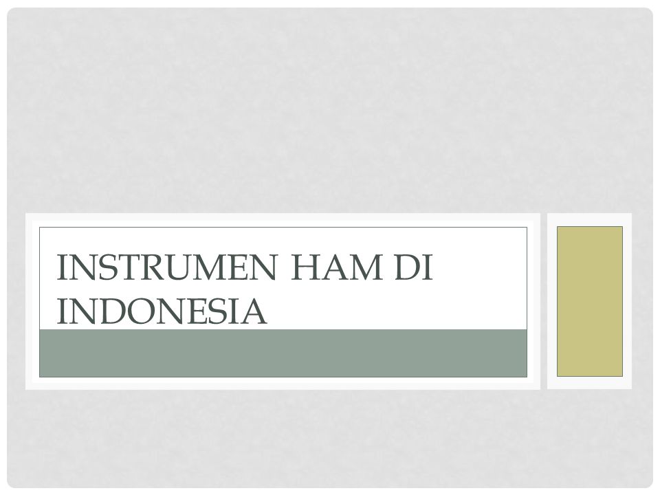 Instrumen HAM di Indonesia