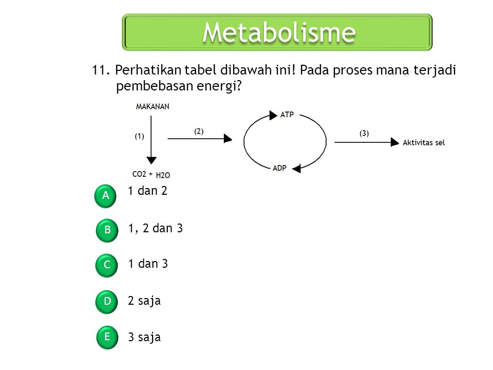 Metabolisme 11. Perhatikan tabel dibawah ini! Pada proses mana terjadi pembebasan energi 1 dan 2.