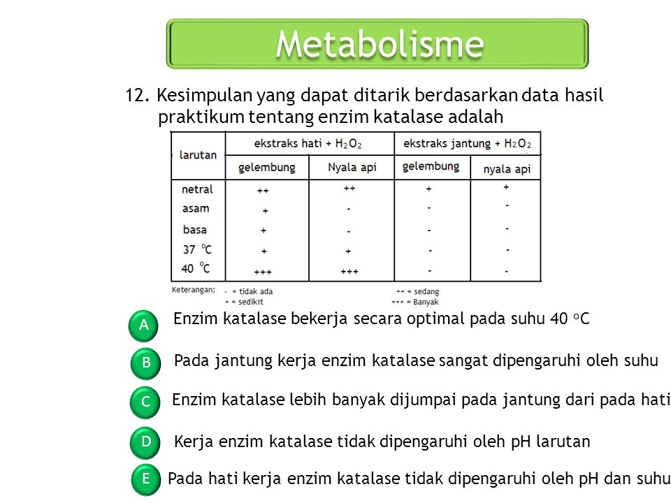 Metabolisme 12. Kesimpulan yang dapat ditarik berdasarkan data hasil praktikum tentang enzim katalase adalah.