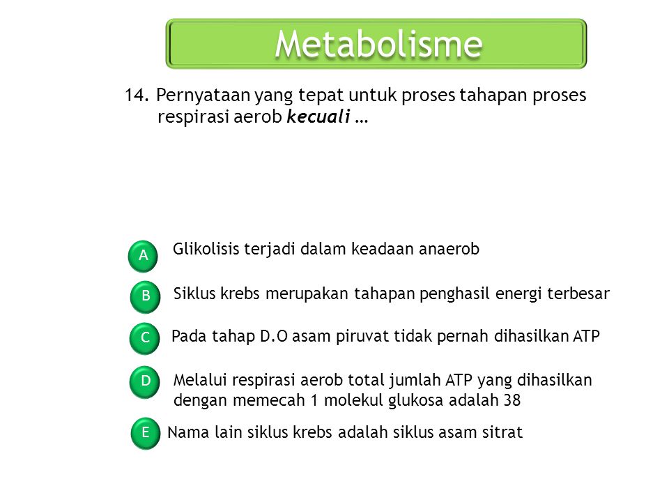 Metabolisme 14. Pernyataan yang tepat untuk proses tahapan proses respirasi aerob kecuali … Glikolisis terjadi dalam keadaan anaerob.