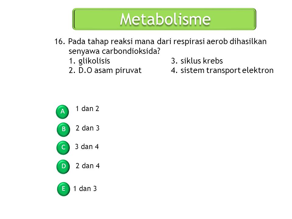 Metabolisme 16. Pada tahap reaksi mana dari respirasi aerob dihasilkan senyawa carbondioksida 1. glikolisis 3. siklus krebs.