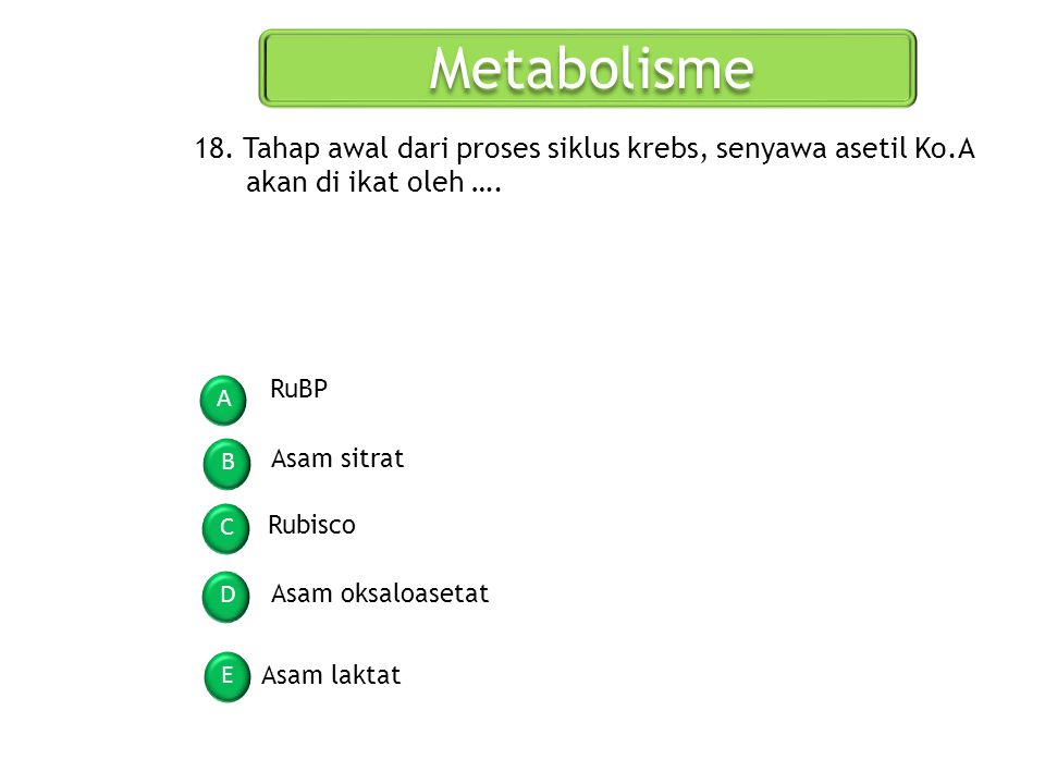 Metabolisme 18. Tahap awal dari proses siklus krebs, senyawa asetil Ko.A akan di ikat oleh …. RuBP.