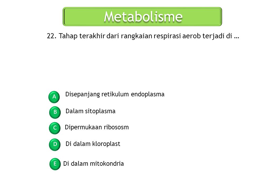 Metabolisme 22. Tahap terakhir dari rangkaian respirasi aerob terjadi di … Disepanjang retikulum endoplasma.