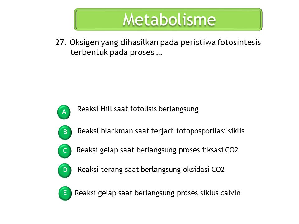Metabolisme 27. Oksigen yang dihasilkan pada peristiwa fotosintesis terbentuk pada proses … Reaksi Hill saat fotolisis berlangsung.