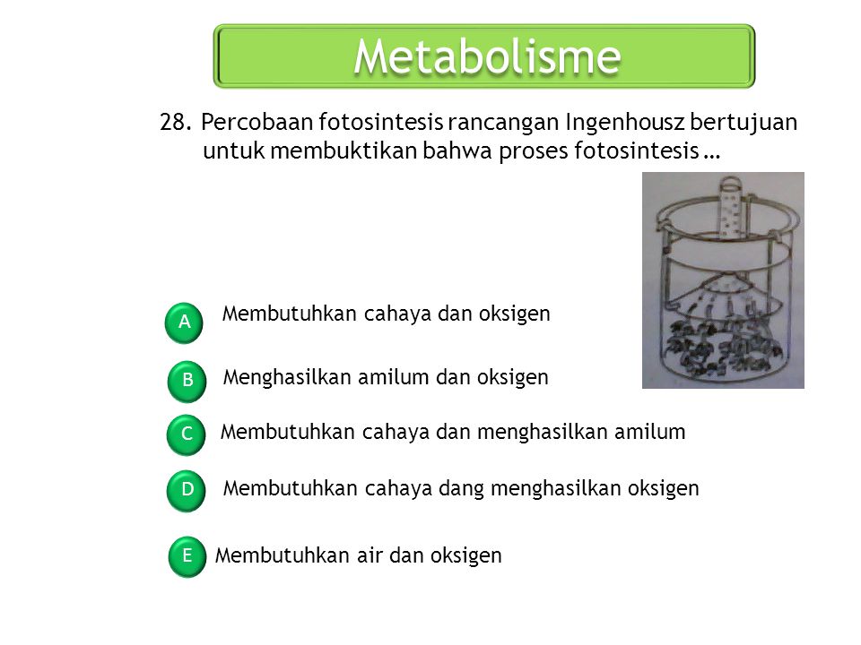 Metabolisme 28. Percobaan fotosintesis rancangan Ingenhousz bertujuan untuk membuktikan bahwa proses fotosintesis …
