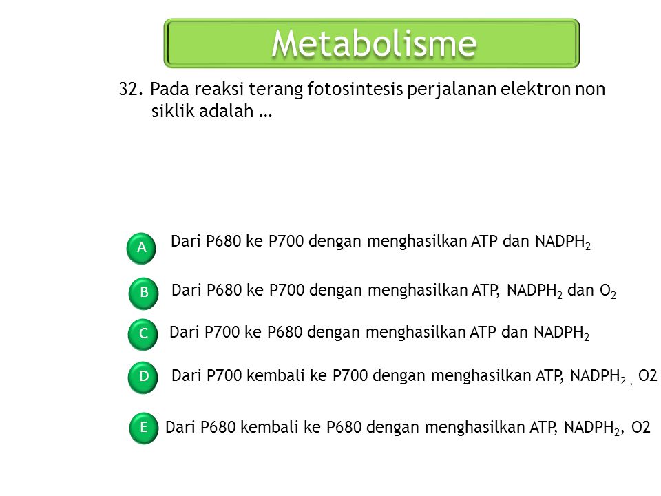 Metabolisme 32. Pada reaksi terang fotosintesis perjalanan elektron non siklik adalah … Dari P680 ke P700 dengan menghasilkan ATP dan NADPH2.