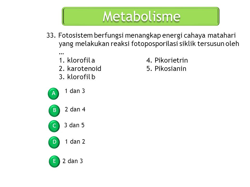 Metabolisme 33. Fotosistem berfungsi menangkap energi cahaya matahari yang melakukan reaksi fotoposporilasi siklik tersusun oleh …