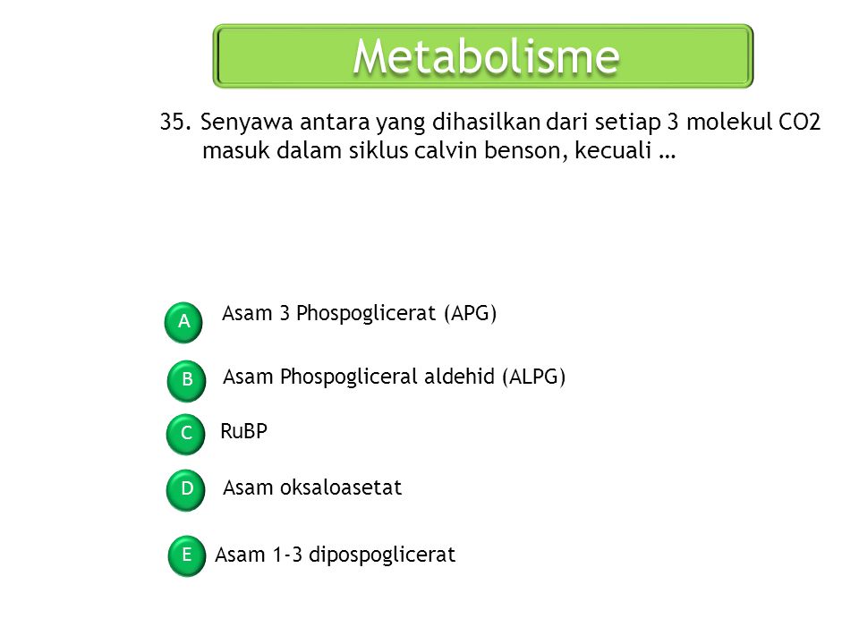 Metabolisme 35. Senyawa antara yang dihasilkan dari setiap 3 molekul CO2 masuk dalam siklus calvin benson, kecuali …
