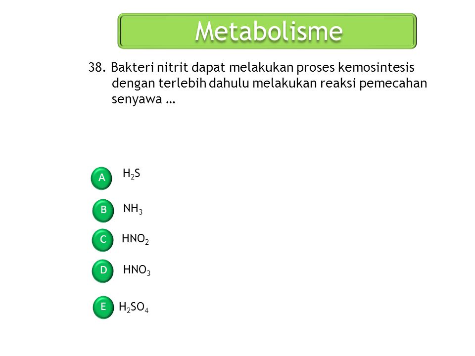 Metabolisme 38. Bakteri nitrit dapat melakukan proses kemosintesis dengan terlebih dahulu melakukan reaksi pemecahan senyawa …