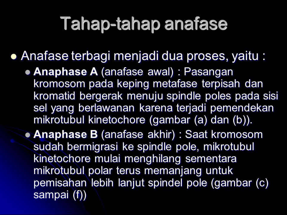Tahap-tahap anafase Anafase terbagi menjadi dua proses, yaitu :