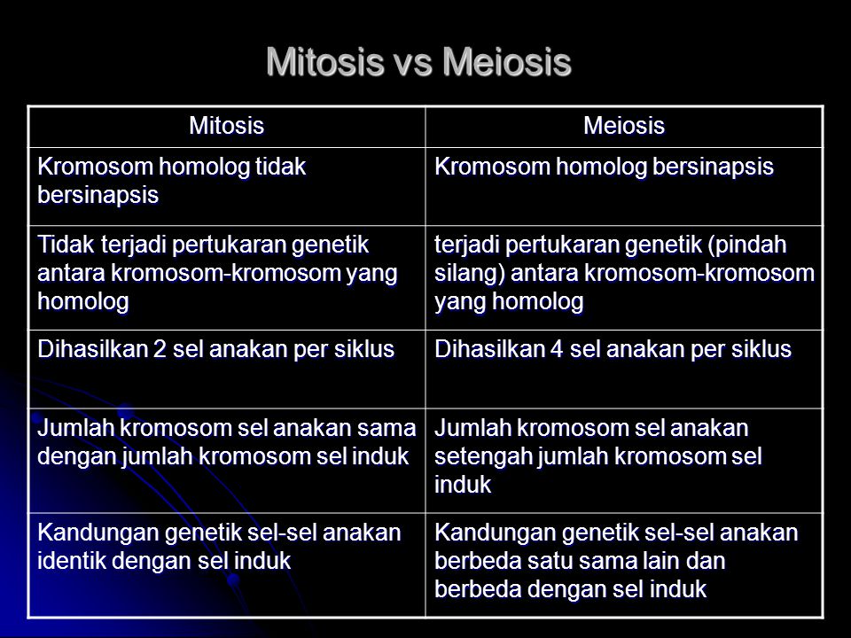 Mitosis vs Meiosis Mitosis Meiosis Kromosom homolog tidak bersinapsis