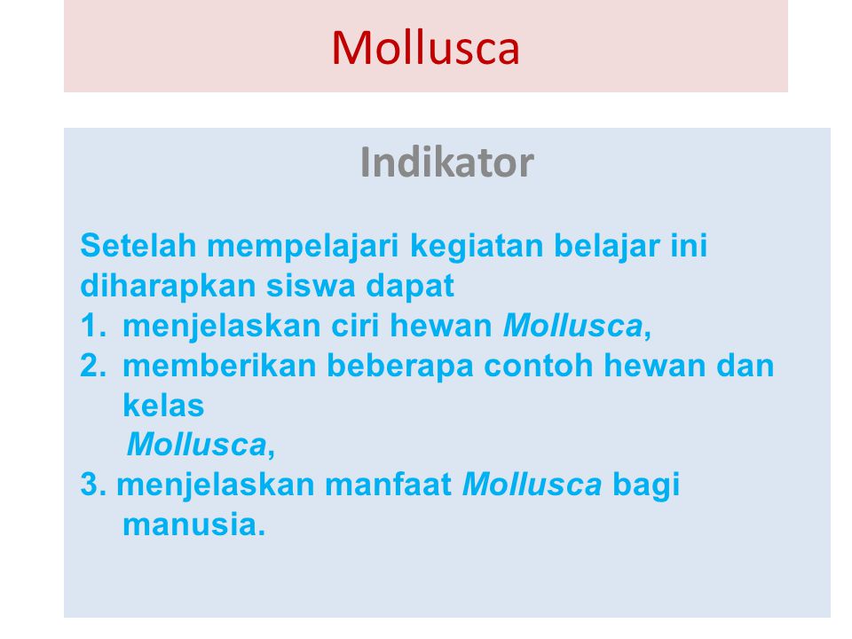 Mollusca Indikator. Setelah mempelajari kegiatan belajar ini diharapkan siswa dapat. menjelaskan ciri hewan Mollusca,