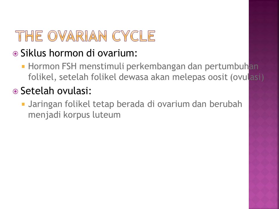The Ovarian Cycle Siklus hormon di ovarium: Setelah ovulasi: