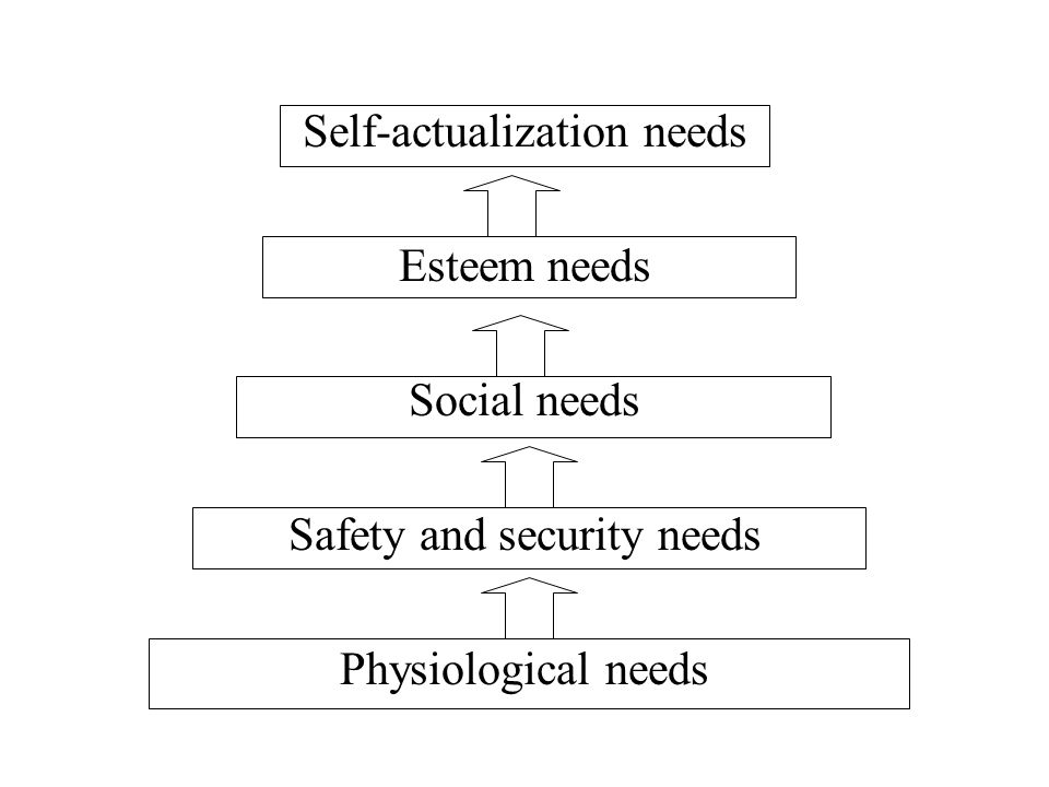 Self-actualization needs Esteem needs Social needs