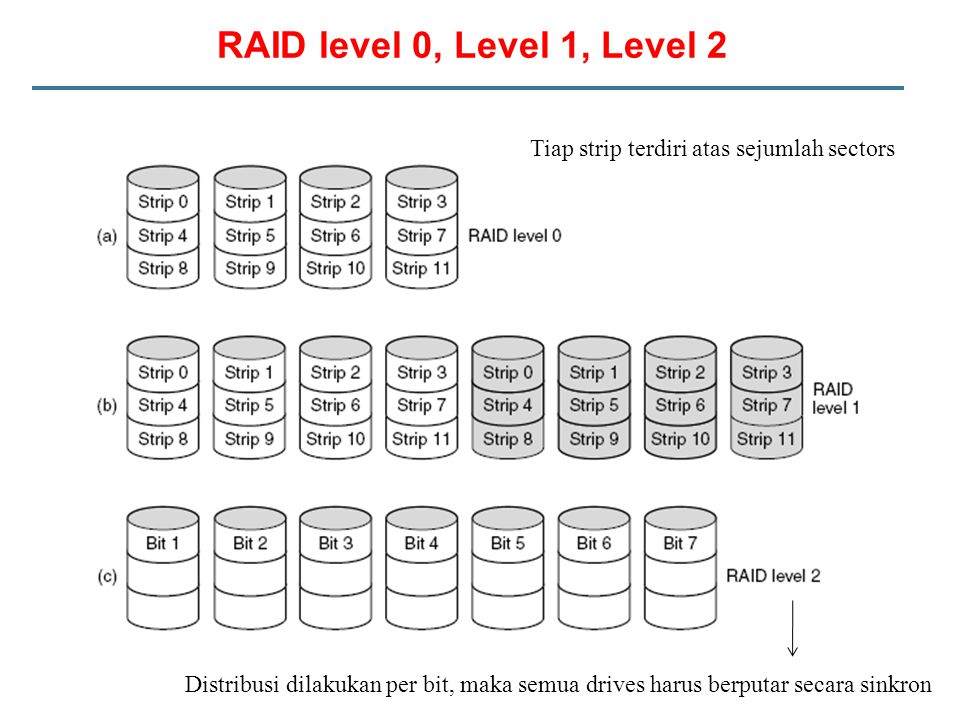 RAID level 0, Level 1, Level 2 Tiap strip terdiri atas sejumlah sectors.
