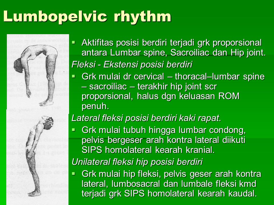 Lumbopelvic rhythm Aktifitas posisi berdiri terjadi grk proporsional antara Lumbar spine, Sacroiliac dan Hip joint.
