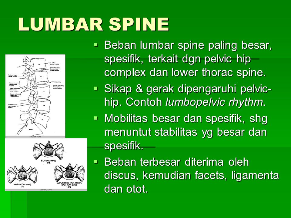 LUMBAR SPINE Beban lumbar spine paling besar, spesifik, terkait dgn pelvic hip complex dan lower thorac spine.