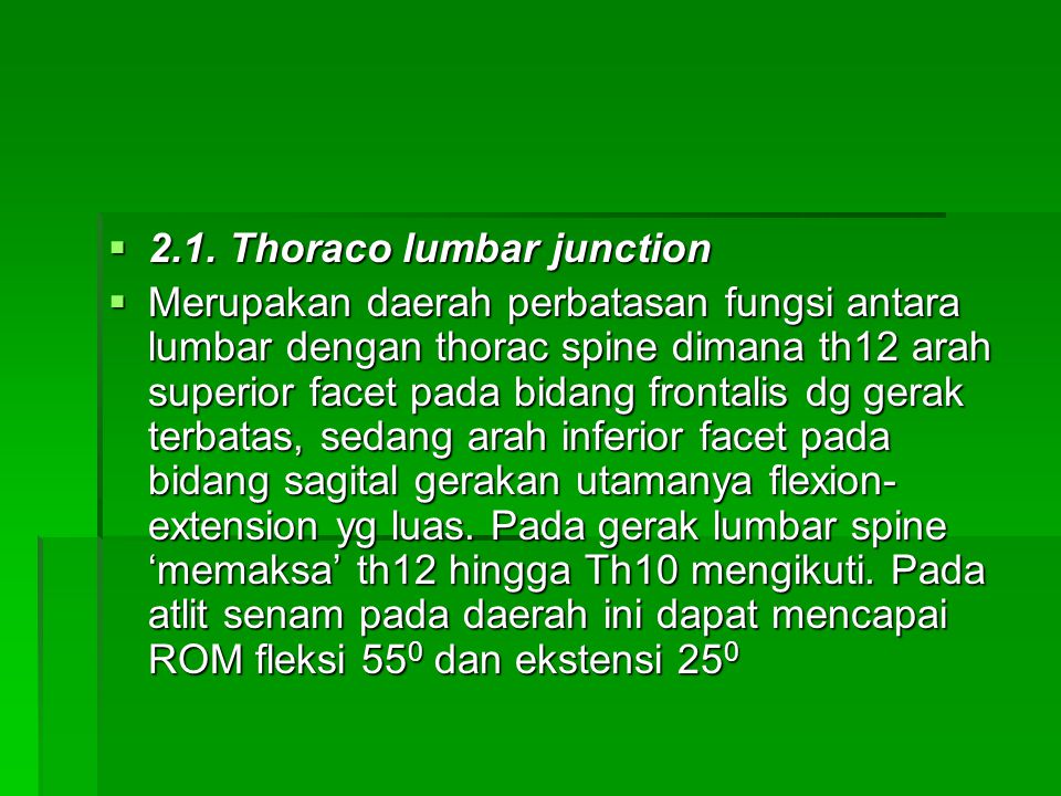 2.1. Thoraco lumbar junction