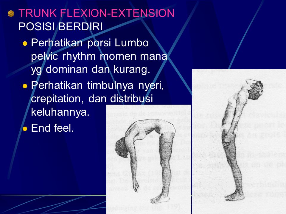 TRUNK FLEXION-EXTENSION POSISI BERDIRI