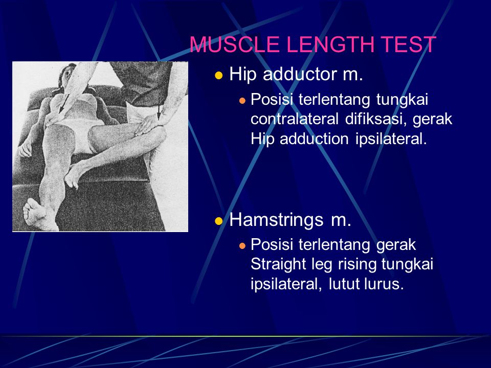 MUSCLE LENGTH TEST Hip adductor m. Hamstrings m.