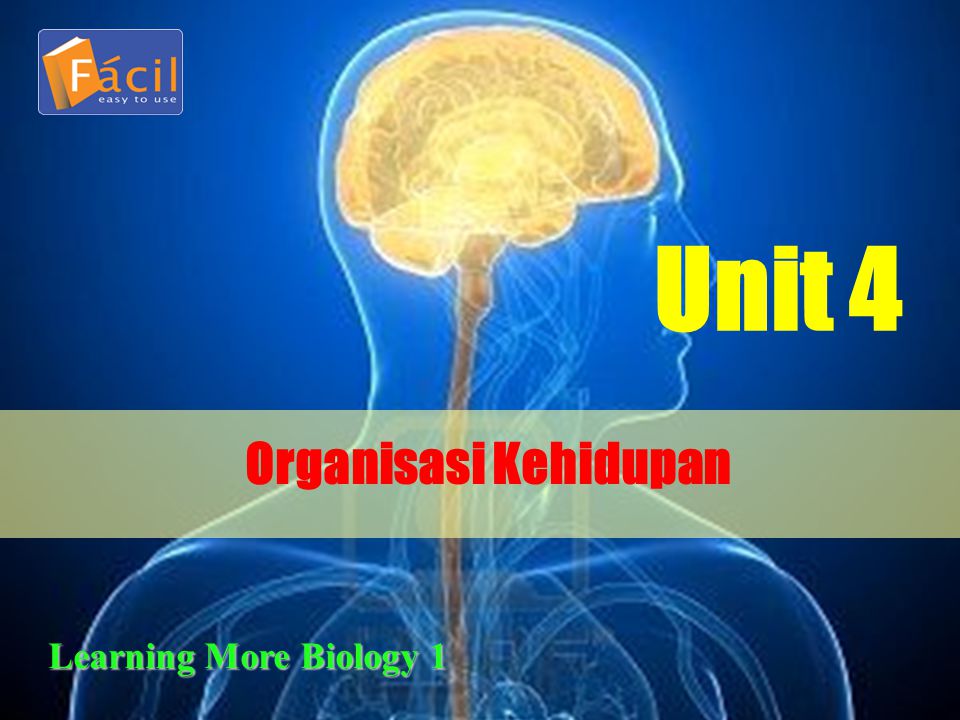 Unit 4 Organisasi Kehidupan Learning More Biology 1