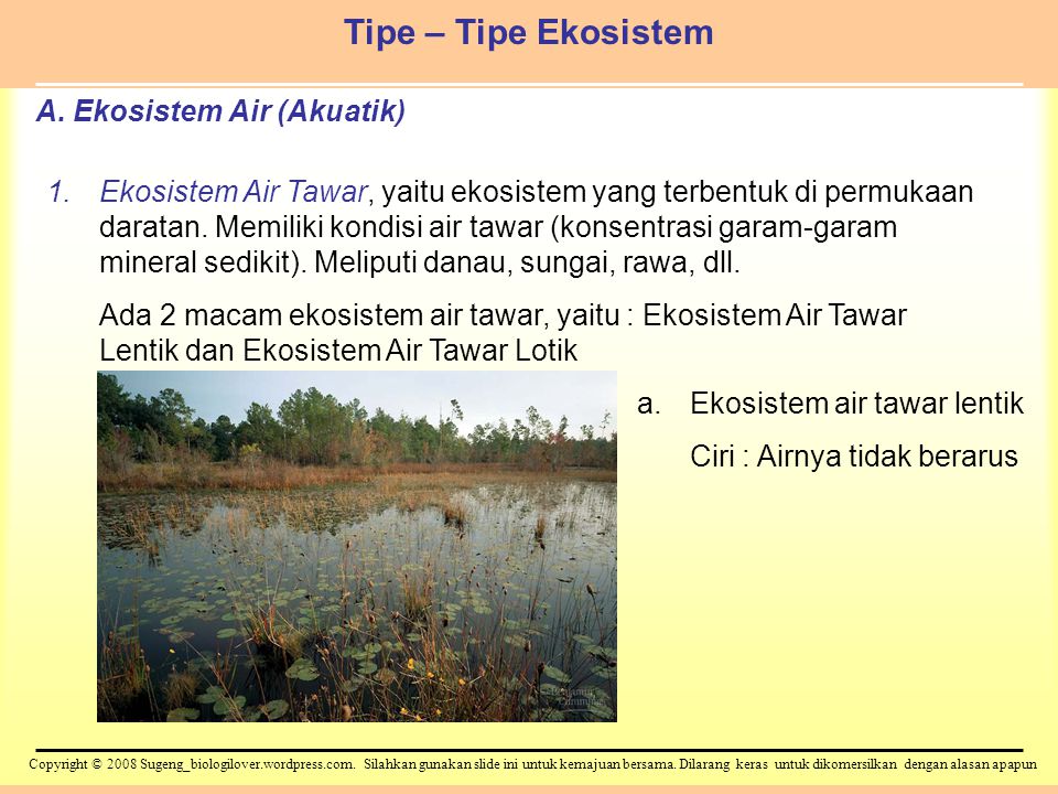 A. Ekosistem Air (Akuatik)