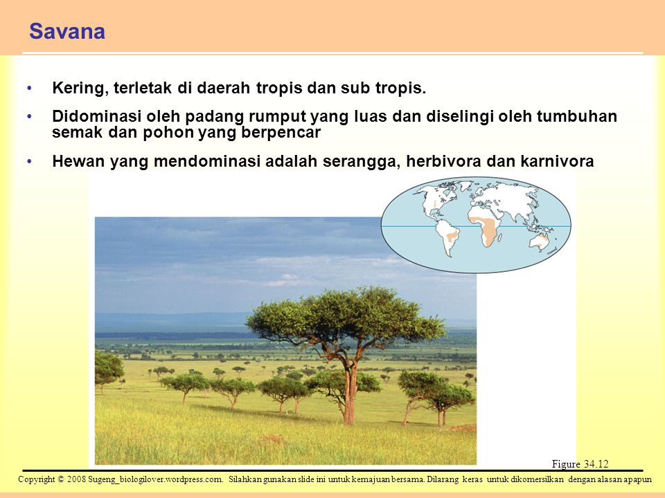Savana Kering, terletak di daerah tropis dan sub tropis.