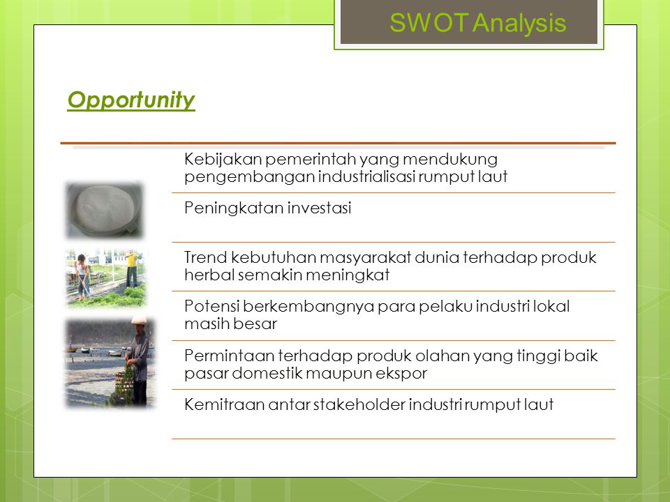 SWOT Analysis Opportunity