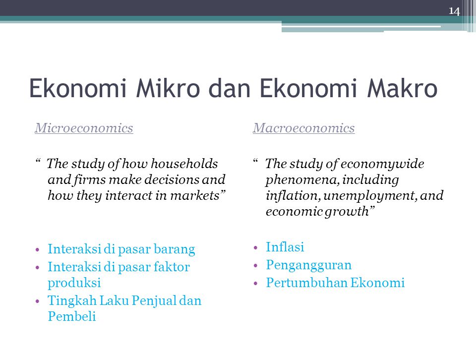 Ekonomi Mikro dan Ekonomi Makro