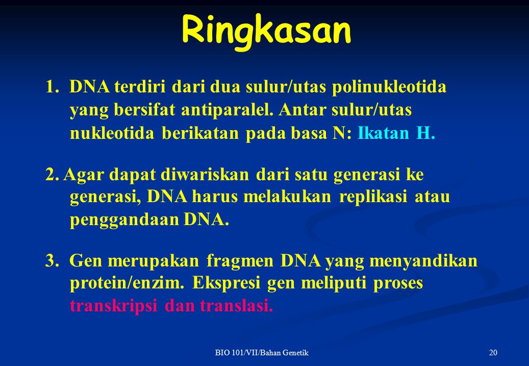 1. DNA terdiri dari dua sulur/utas polinukleotida